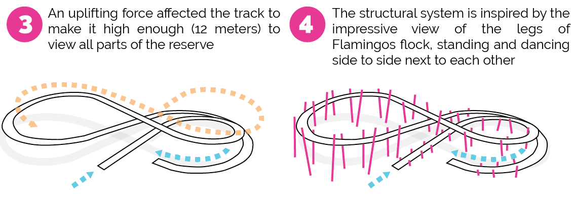 Conceptual Diagrams Mass formation flamingo observatory